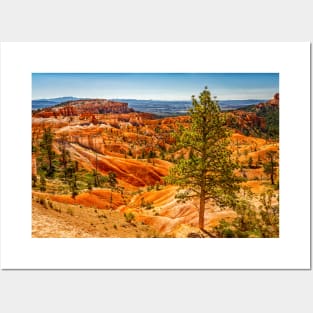 Bryce Canyon National Park Posters and Art